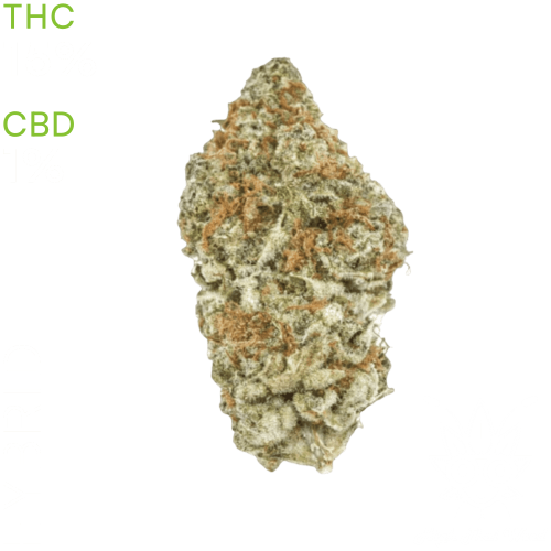 buy White Widow Cookies weed in bangkok