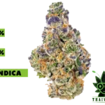 buy Mochi Cake weed in thailand