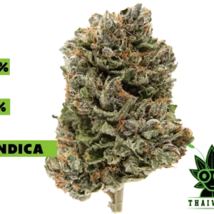 buy Purple Master weed in thailand