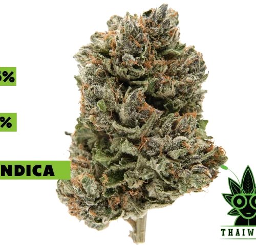 buy Purple Master weed in thailand