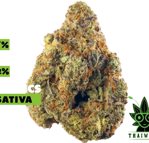 buy Sugar Tart weed in thailand