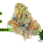 buy Tahoe Cookie in thailand