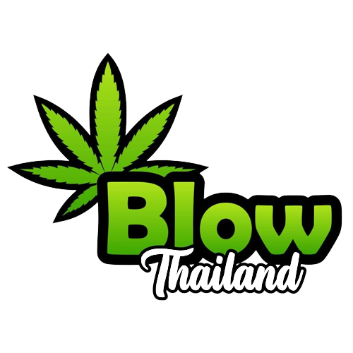 Blow Thailand Lounge | Bangkok's Best Smoking Lounge