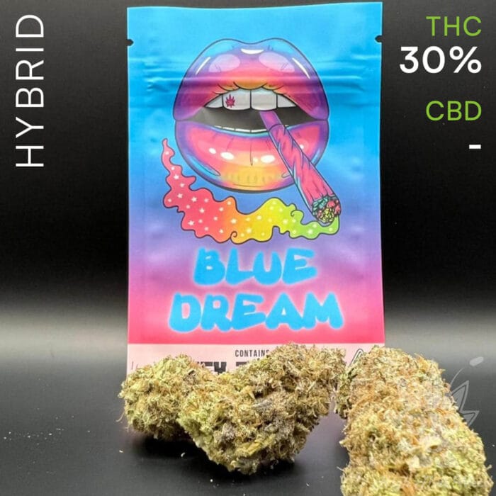 buy mockup blue dream weed in bangkok