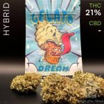 buy Gelato Dream weed in bangkok
