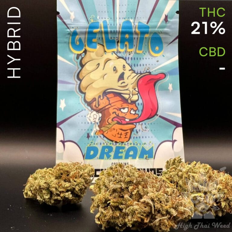 buy Gelato Dream weed in bangkok