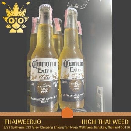 Beer Corona Extra in bangkok