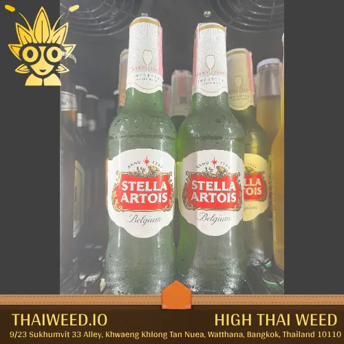 buy Stella Artois Beer in bangkok | high thai weed