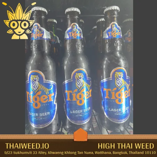buy Tiger Beer in bangkok | High thai Weed
