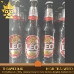 buy Leo Beer in bangkok | High thai Weed