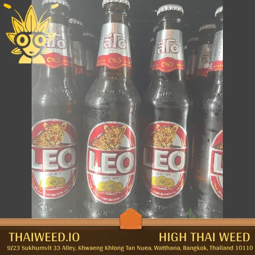 buy Leo Beer in bangkok | High thai Weed