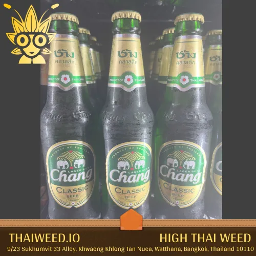 Buy Chang Beer in bangkok | High Thai Weed