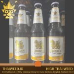 buy Singha Beer in bangkok | High Thai Weed