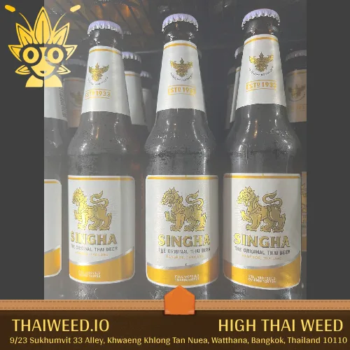 buy Singha Beer in bangkok | High Thai Weed
