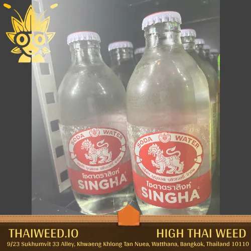 buy Soda Water Singha in bangkok | High Thai Weed