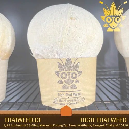 best coconut in bangkok | High thai Weed
