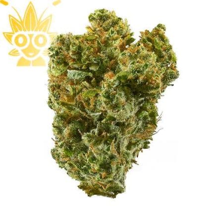 Super Silver Haze Cannabis - Buy Online & Fast | Thai Weed