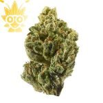 OG Kush Cannabis - Buy Online & Fast | Thai Weed
