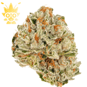 buy Wasabi weed in bangkok High thai Weed
