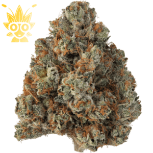 buy Khalifa kush weed in bangkok \ High thai Weed