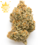 Grape gasoline weed in bangkok High thai Weed