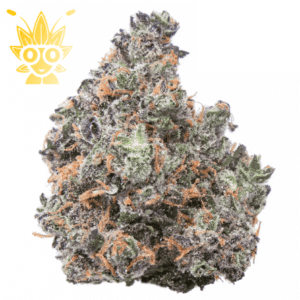 Candy land weed in bangkok High thai Weed