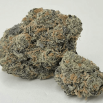 Blue Zushi strain in bangkok High thai Weed