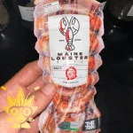 THE TENco Maine Lobster Weed Strain | High thai Weed dispensary in bangkok