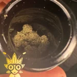 Canna Couture Og kush Weed Strain | High thai Weed dispensary in bangkok