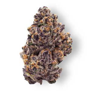 Blockberry strain in bangkok High thai Weed