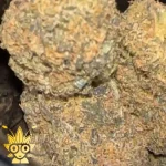 Doja Zkittlez Weed Strain | High thai Weed dispensary in bangkok