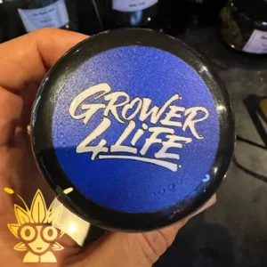 Grower life Gusher pie 3 Weed Strain | High thai Weed dispensary in bangkok