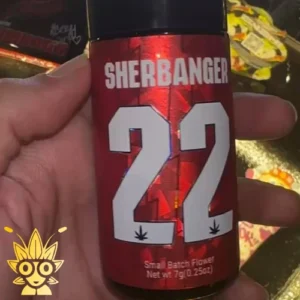 Canna Couture SherBanger Weed Strain | High thai Weed dispensary in bangkok