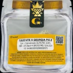 Georgia Pie Z From Gotti Weed Strain | High Thai Weed In Bangkok