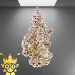 Glitter Bomb Weed Strain | High thai Weed dispensary in bangkok
