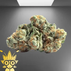 London Marker Weed Strain | High thai Weed dispensary in bangkok