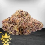 Gogurtz Weed Strain | High thai Weed dispensary in bangkok