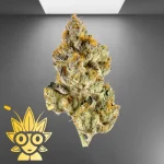 Miracle Fruit Weed Strain | High thai Weed dispensary in bangkok