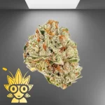 Winter Sunset Weed strain | High thai Weed dispensary in bangkok