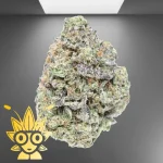 Cherry Garcia Weed Strain | High thai Weed dispensary in bangkok