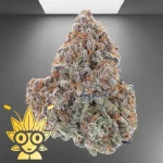 Dosido Weed Strain | High thai Weed dispensary in bangkok