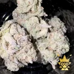 Tiramizu from Kaki Exotic | high thai Weed dispensary