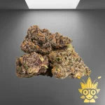 Bangkok Bliss Weed Strain | ThaiWeed Dispensary