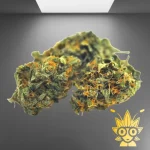 Skywalker Weed Strain | ThaiWeed Dispensary in bangkok