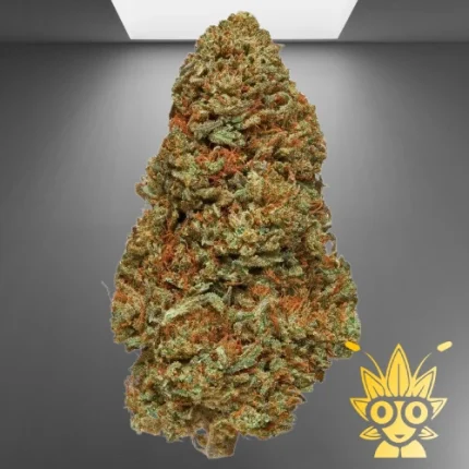 Skywalker Weed Strain | ThaiWeed Dispensary in bangkok