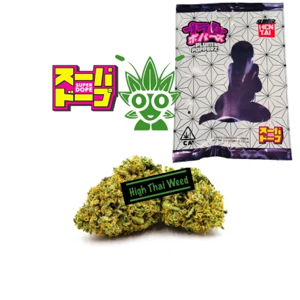 Plum Popperz strain weed Super Dope | HigHthaiWeed Dispensary in bangkok