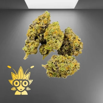 Apple Z from Kaki Exotic | high thai Weed dispensary