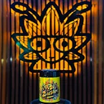 Yuzu Zhushimi Strain Rare Exotic