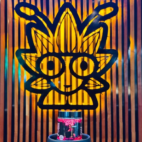 Cartel Rosa From Kaki Exotic | high thai weed
