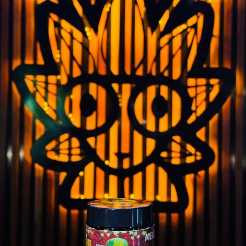 Melon Nishi strain by KAKI EXOTIC — premium small-batch weed, best cannabis in Bangkok 2026 at High Thai Weed.